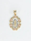 14k Gold Pendant - Virgin Mary