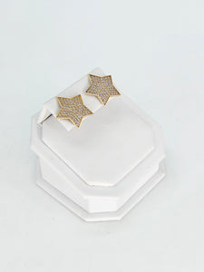 14K Gold Earrings - Star