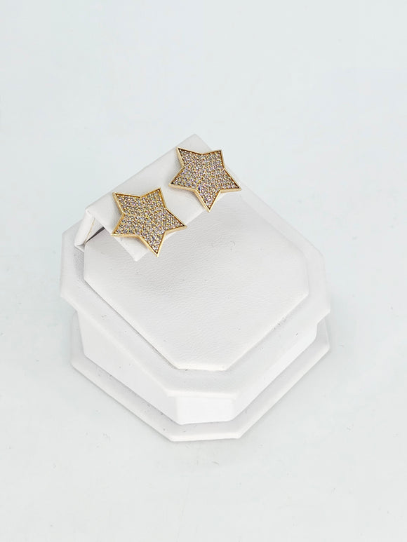 14K Gold Earrings - Star