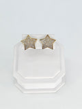 14K Gold Earrings - Star