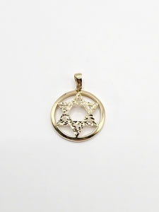 14k Gold Pendant - Jewish Star of David