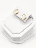 14K Gold Earrings - White Clover