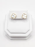 14K Gold Earrings - White Clover