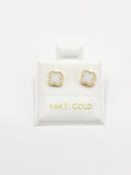 14K Gold Earrings - White Clover