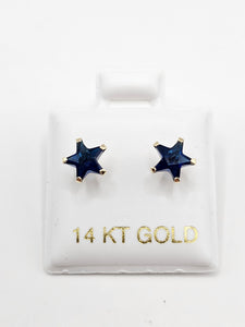 14K Gold Earrings - Blue Star