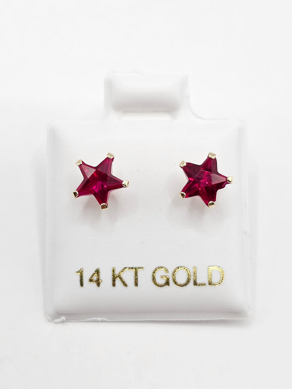 14K Gold Earrings - Fuchsia Star