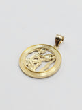 14k Gold Pendant - Aquarius