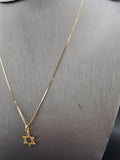14k Gold Chain w/Pendant - Star of David